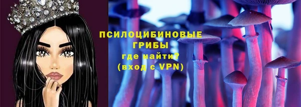 каннабис Новозыбков
