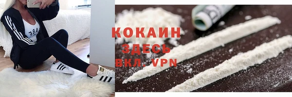каннабис Новозыбков