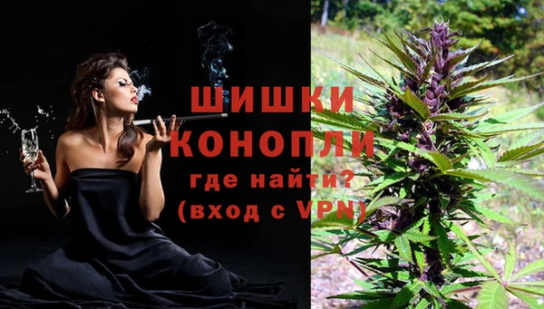 каннабис Новозыбков