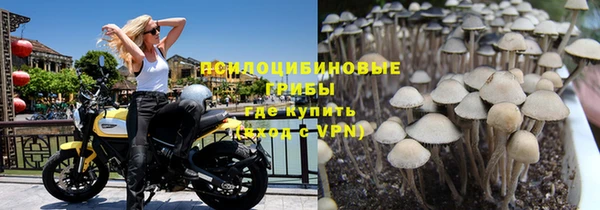 каннабис Новозыбков