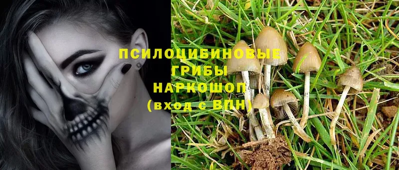 Псилоцибиновые грибы MAGIC MUSHROOMS Саров