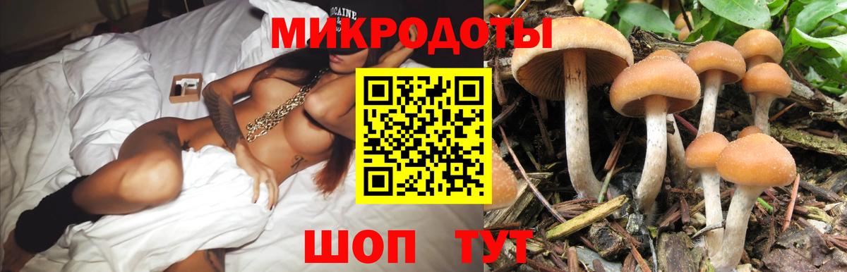 Псилоцибиновые грибы прущие грибы  Вход с VPN  Саров  купить наркоту  Галлюциногенные грибы Psilocybe 